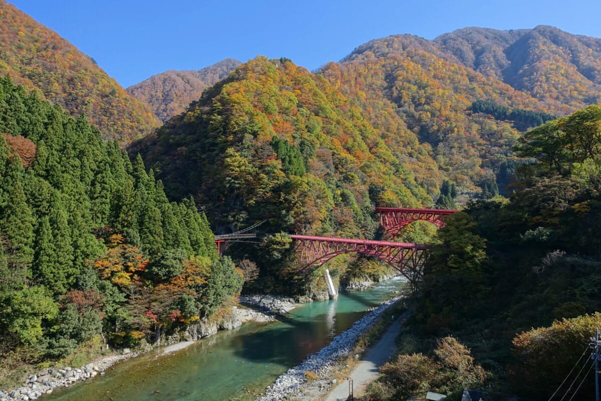 รถไฟหุบเขาคุโรเบะ จังหวัดโทยามะช่วงใบไม้เปลี่ยนสี